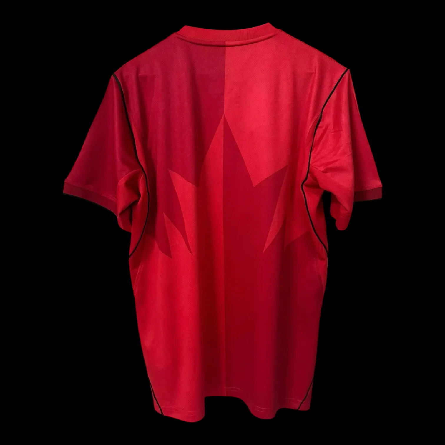 Vue arrière Canada Maillot Domicile 2627